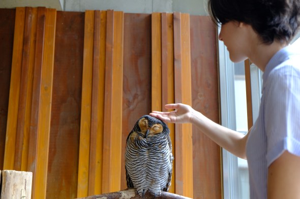 0C7F7F26-3CDA-4CD1-A5DB-9EC03E4F7C73