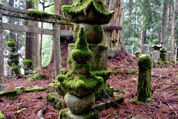 143151C2-5B40-41AB-9B7E-C9B899B289F7