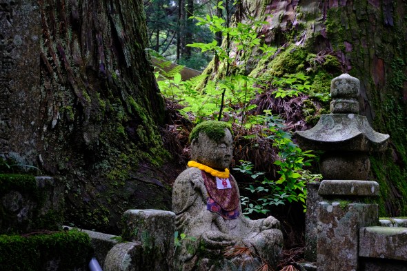 1E0125ED-5D0F-4DF8-9E7B-DD7CF56E9153