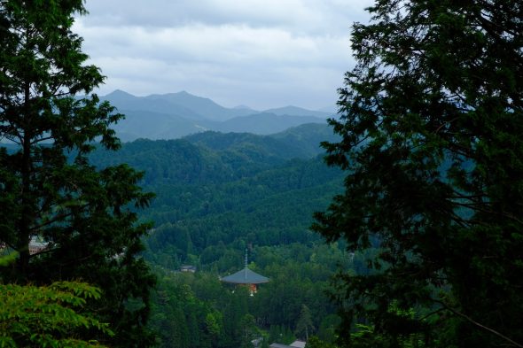 201E2F0C-4C18-49CC-9F33-3F26884AE79E