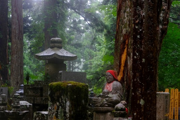 20D5954C-A7DA-44AE-9F1B-E87490F901FB