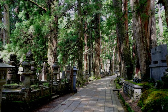 313BB3BD-7CBC-40EF-A634-EC24F002A4C6