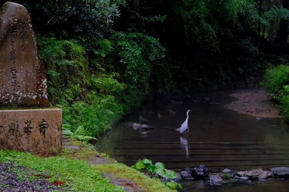 388C719B-172F-4B5C-8CA7-203737EDC633