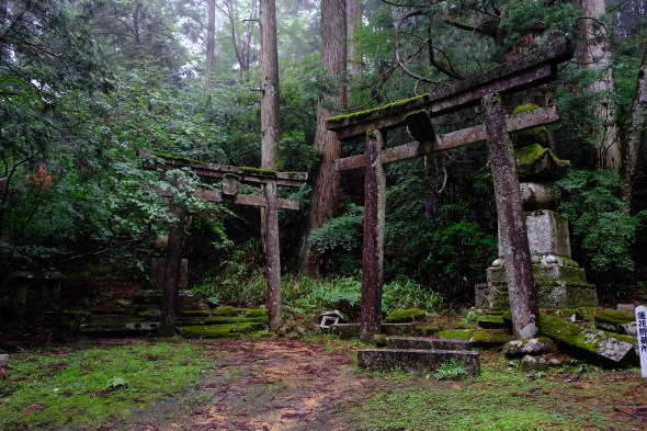 40129128-AA1A-40C9-9CEE-11A26DE74D5C