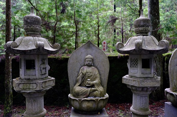 4AC3C3A9-5207-408F-A1EF-FBDC633E91C2