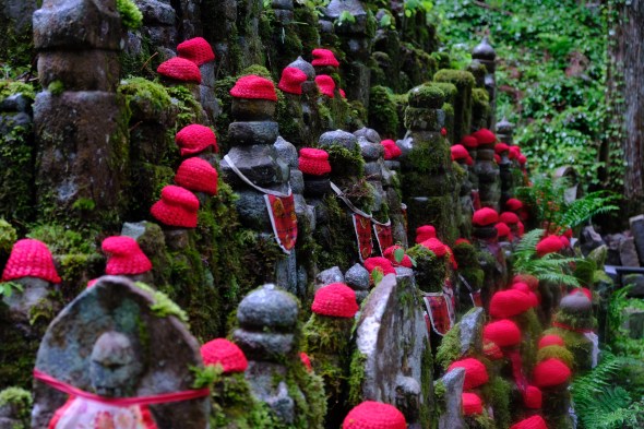 508248D2-906F-4A25-B97C-FF9062AA20AC