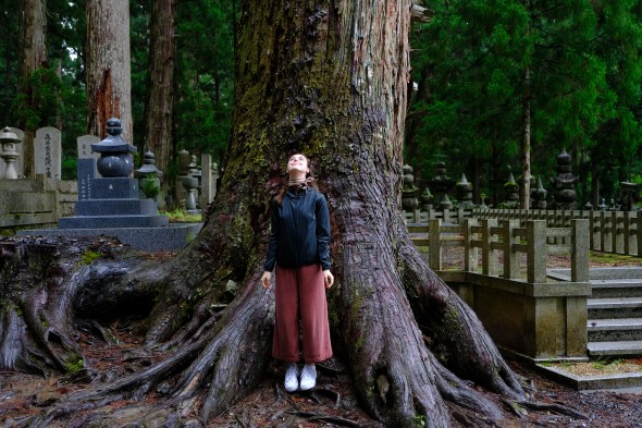 56D11DFD-530A-4E85-84DA-B40AC839460A