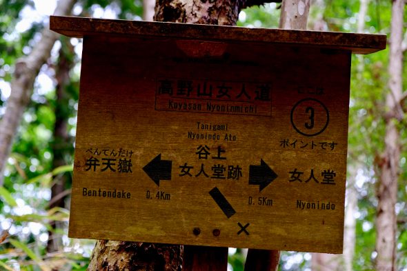 5F31FDCC-7E94-4954-9EA4-3FDF2F08B312