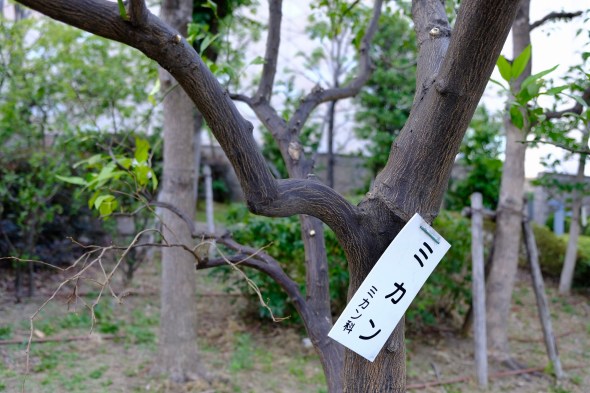 6899341D-2E8F-47BA-9AB4-273F10301C3B