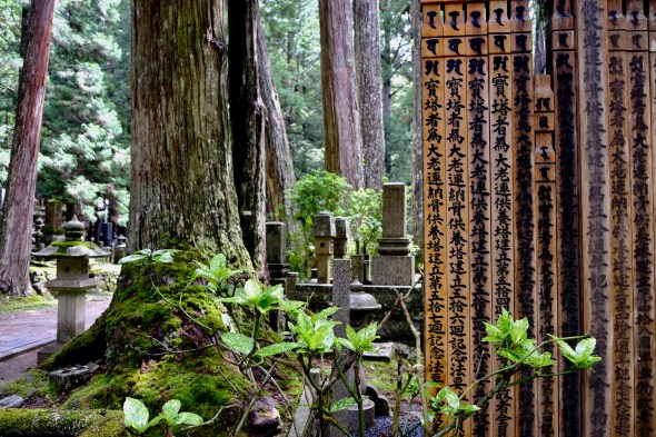 7C163DA0-5FC8-4E7D-9A6C-92CB4F49FE63