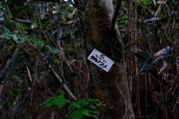 7E237C5C-4A77-4EF9-BDC0-302C8C56549B