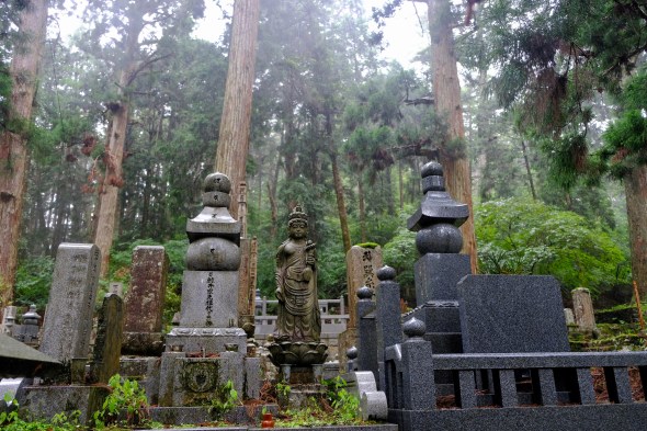 84113CCE-FF94-470F-9ACE-420A63696821