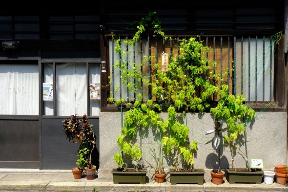 84323FC9-9318-4768-AC96-92D98889E96F