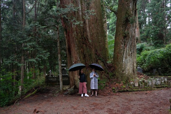 84360041-8A66-470A-A5C2-9302F46399D1