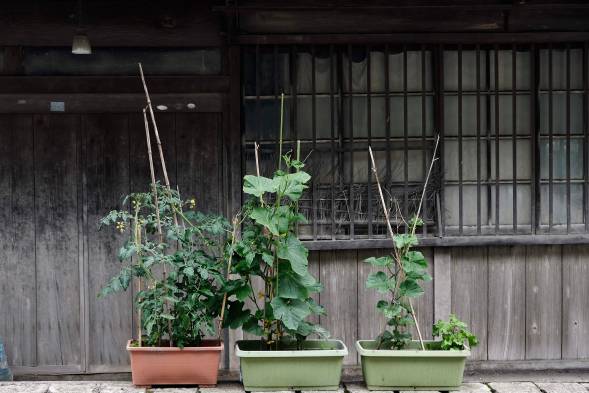 8EE30707-793E-4DCB-94E4-56F5F655140D