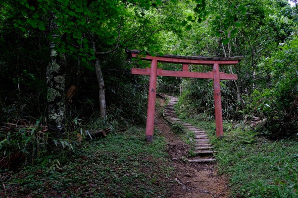 8F5DC711-EFCE-4770-BC86-63ECBE2DEBEB