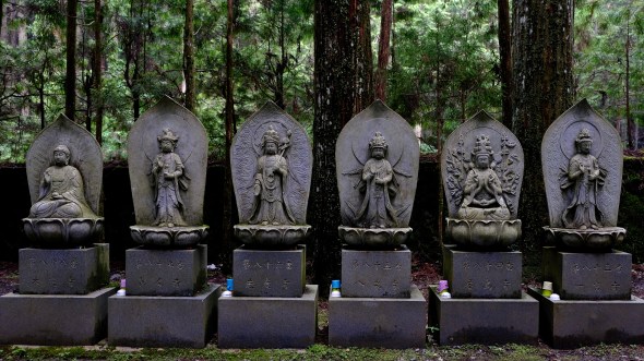 A6FD4248-B722-4725-BDF1-461CA7829F66