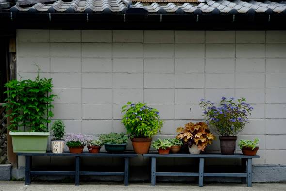 A7087A98-9E70-4D5E-BC24-24945103AF89