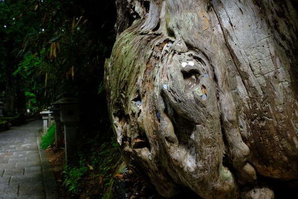 B0942A67-0721-4982-B308-1B48DE747647