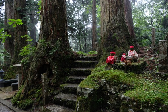 B4CC41CF-1C69-4470-ADDC-5706256226D9