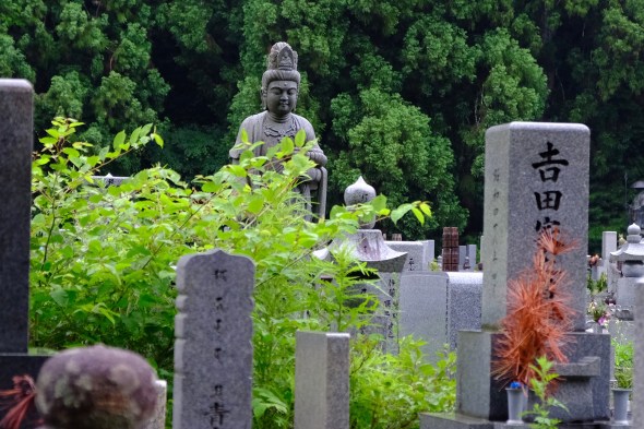 B5663CEF-185E-4DDE-B6F9-6CD6935CC7D3