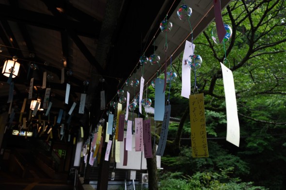 BD0DE7EE-DF70-424B-9738-24C456AA81E5