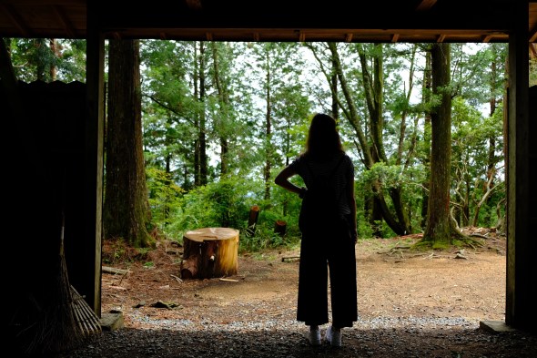 C802E91C-F13A-4813-B9DB-0EC11DA72331