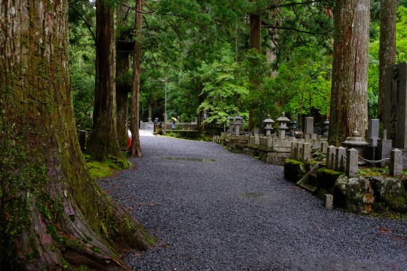 CDBC06BA-02FD-4796-8DDE-8D05DD87419B