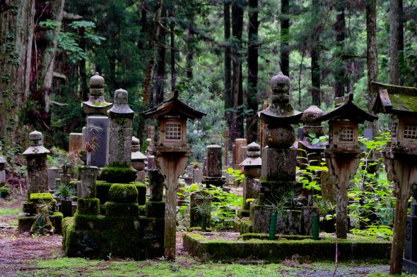 D10423B3-67DF-426B-BD7B-C6DAD1A0575E