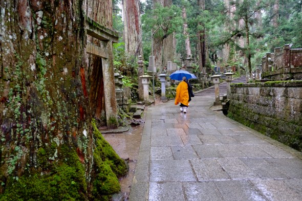 DB85D7BF-E71A-4F0C-8B74-12592048E9DA