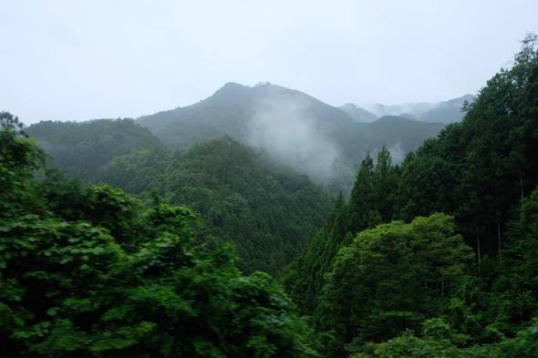 ECC71720-38CA-4E5B-9A75-C4869D058202