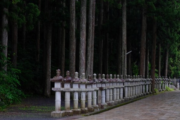 F03FF297-B85E-4E8A-B4A6-A724DBF4E3BF