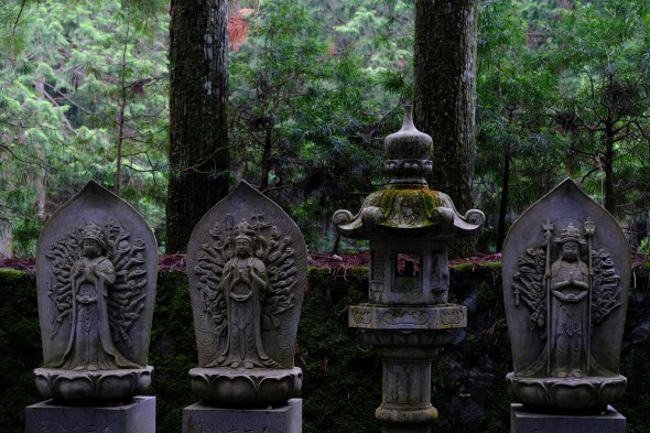 F1A67C4F-5CCB-42E0-8447-BAA520B4F5B3