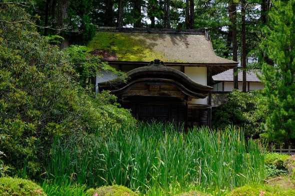 F32BDE9F-7EF5-40EC-A289-8C4F0A1758A6