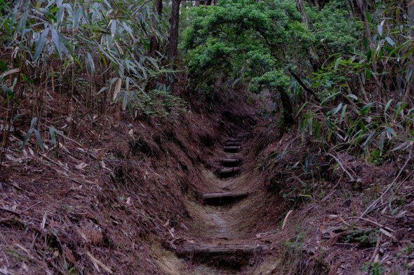 FD164191-4C98-438A-A112-BCE820AE61C4